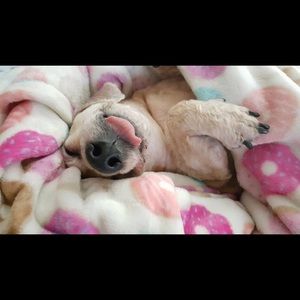 Meet your Posher, Rebecca